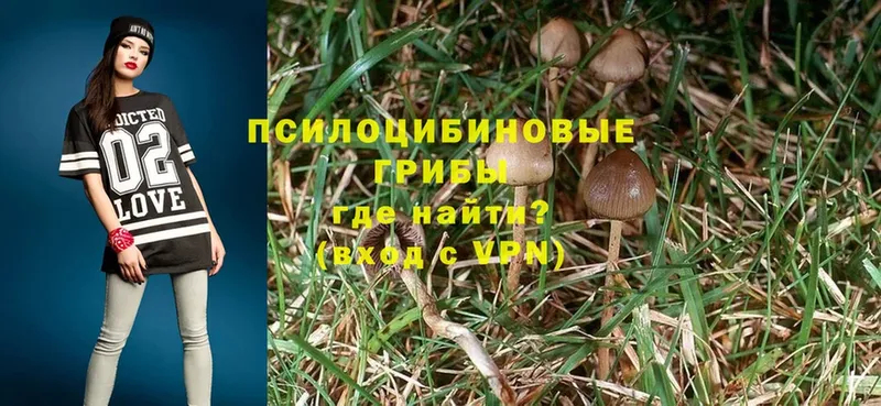 это какой сайт  Пыталово  Псилоцибиновые грибы Magic Shrooms  что такое  